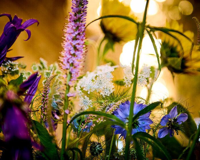 Floraliën in het Paleis op de Meir