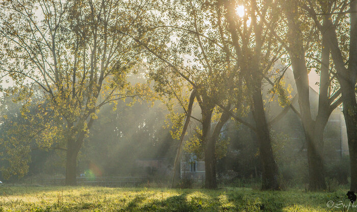 Natuur Herkenrode