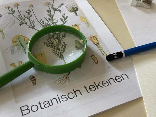 botanisch tekenen