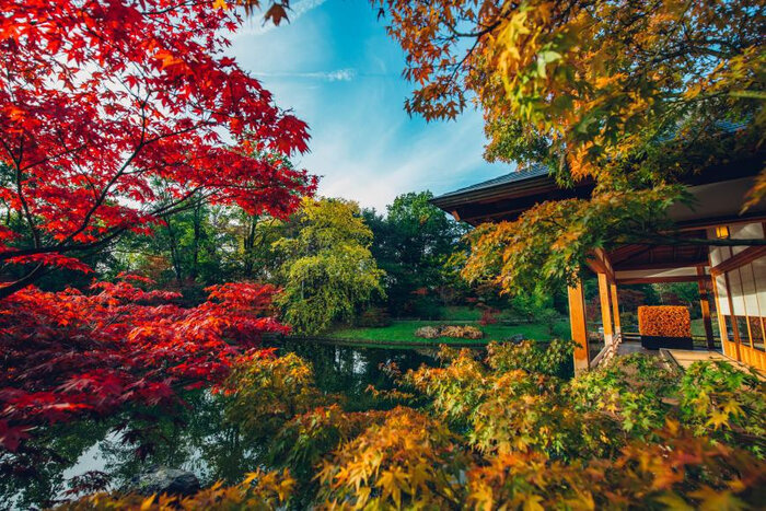 Japanse tuin