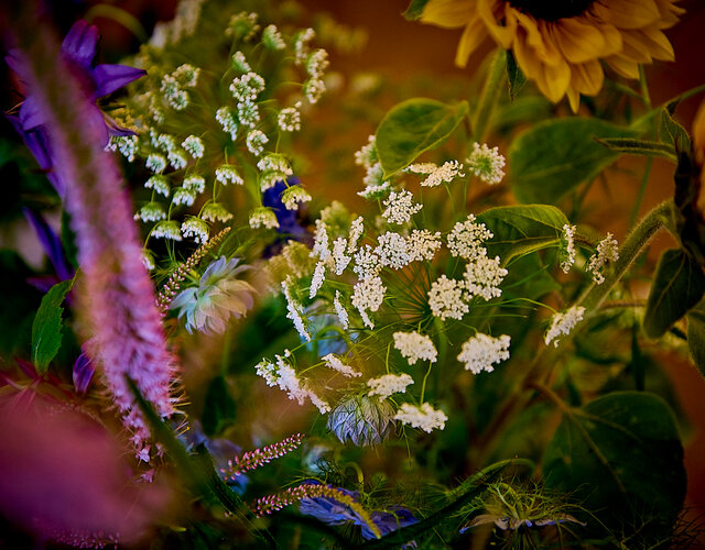 Floraliën in het Paleis op de Meir